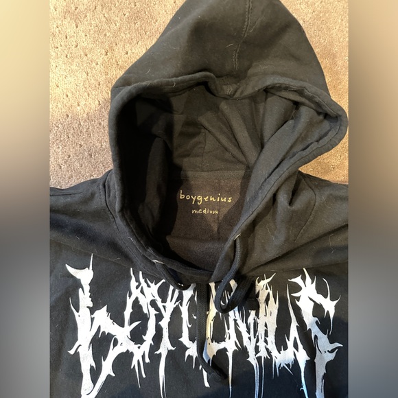 Boygenius hoodie from Boygenius merch store - Picture 4 of 4